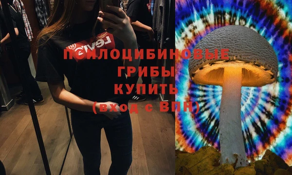 марки nbome Белокуриха