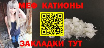 шишки Кандалакша