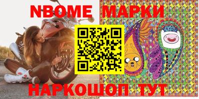 шишки Кандалакша