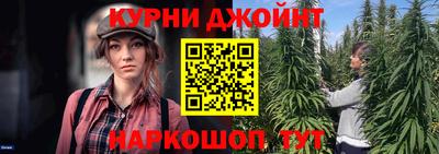 шишки Кандалакша