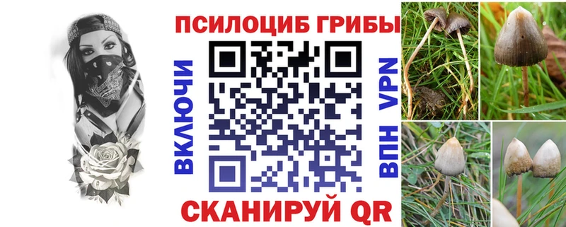 hydra маркетплейс  купить наркоту  Среднеуральск  Галлюциногенные грибы ЛСД 